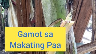 Gamot sa makating balat sa paa  herbal  halamang gamot [upl. by Schreibe]