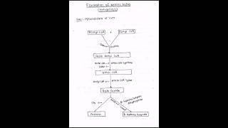 Formation and utilization of ketone bodies ketogenesis ketolysis biochemistry bpharmacy mbbs [upl. by Laurent]