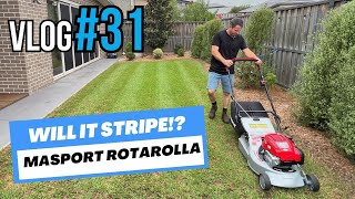 VLOG 32 Will the Masport Rotarolla Stripe Up My Sad Looking Lawn [upl. by Wivinia]