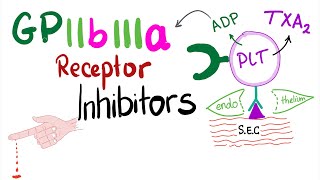 GPIIbIIIa receptor inhibitors [upl. by Jair]