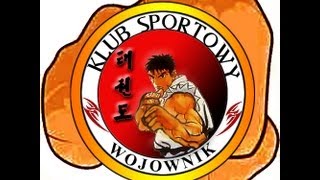 WYMAGANIA EGZAMINACYJNE NA 8 CUP TAEKWONDO ITF [upl. by Nede]