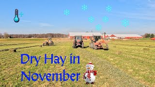 Hay Making Experts said It Cant be Done [upl. by Anallese]