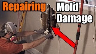 How To Repair Mold Damaged Walls  THE HANDYMAN [upl. by Yrret]