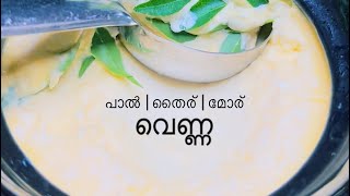 പാൽ ഉറയൊഴിച്ച് തൈരാക്കി തൈര് കടഞ്ഞ് വെണ്ണയെടുക്കുന്ന വിധം  Make butter at home  Sarang  Dakshina [upl. by Forester]