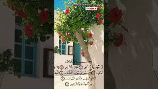 Surah al nas beautiful voice quran reaction viralvideo trending shorts [upl. by Ewald]