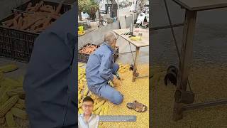 Farmers harvest corn with smart tools sonasmr [upl. by Lovmilla44]