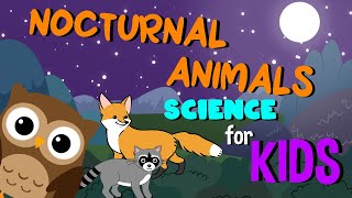 Nocturnal Animals  Science for Kids [upl. by Werdnael]