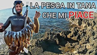 Pescasub LA PESCA IN TANA CHE MI PIACE  Spearfishing [upl. by Ekalb240]