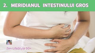 🔴 Meridianele Energetice  Meridianul Intestinului Gros [upl. by Chobot]