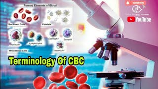 Terminology Of Complete Blood Count CBC Morphology  Microscopy [upl. by Prud]