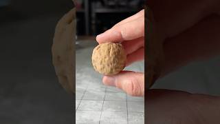 Super Squishy Silicone Walnut [upl. by Gleason]