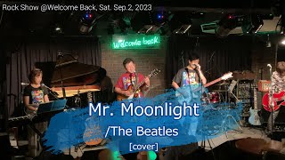 Mr MoonlightThe Beatles cover [upl. by Oiciruam]