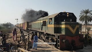 WHY GREEN LINE STOPPED AT JAHANIAN WITH AMAZING BRAKES SOUND [upl. by Yelnoc]