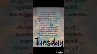 chandukudanjorul chandupottutrendingviralmusic malayalamlyrics shortsfeedsongmoviemoviesong [upl. by Banebrudge]