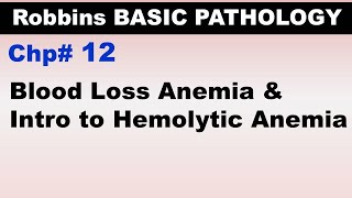 Ch12  Blood Loss Anemia amp Introduction to Hemolytic Anemia  Blood Pathology  Dr Asif Lectures [upl. by Akkinahs]