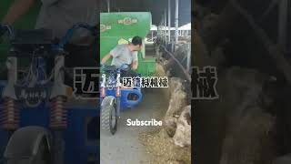 Specialized for farmsquot electric fertilizerfeed spreader tricycle for feeding cattle [upl. by Tracie]