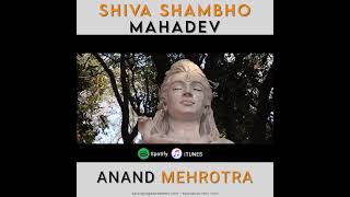 Shiva Shambo Mahadeva By Anand Mehrotra yoga sattvayoga sattvayogaacademy anandmehrotra [upl. by Elbys]