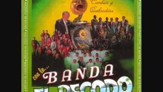 Banda El Recodo Mix De Cumbias [upl. by Leeda]