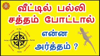 பல்லி வீட்டில் சத்தம் போட்டால் என்ன ஆகும்  palli sound palan [upl. by Ulland301]