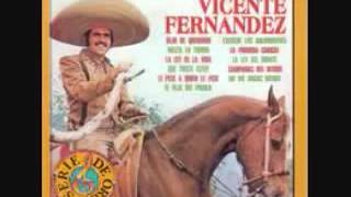 HASTA LA TUMBA VICENTE FERNANDEZ [upl. by Nurat212]