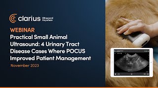 4 Urinary Tract Disease Cases Where POCUS Improved Patient Management [upl. by Nawiat336]