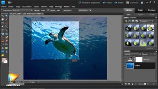 Adobe Photoshop Elements 9  Le recadrage dune image [upl. by Nauqaj]