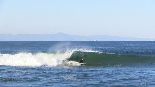 White Pelican Sand Bar Raw  Ventura CA [upl. by Barraza]