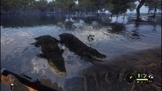 MartiniHenry taken out some Crocodile [upl. by Iblok956]