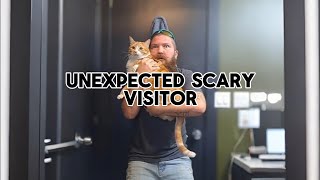 unexpected scary visitor [upl. by Nnaeed]