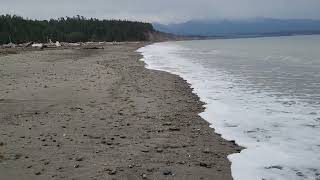 Dungeness Spit Washington 5 minute beach walk [upl. by Atikam398]