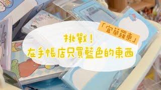 宜蘭羅東｜挑戰在手帳店只買藍色的東西🩵 [upl. by Werdnaed616]