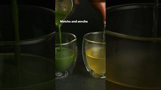 Whats The Difference Between Sencha and Matcha sencha [upl. by Royden]