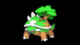 Pokemon Cries  389 Torterra [upl. by Aniluj9]