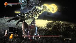 DARK SOULS™ III  High Lord Wolnir  Summon used [upl. by Eseela]