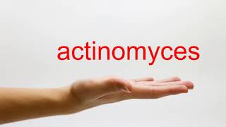 How to Pronounce actinomyces  American English [upl. by Clorinde276]