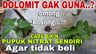 MAKIN NGAWUR‼️DOLOMIT  KAPUR DIBILANG GAK GUNA‼️GAK PERLU BELI PUPUK NITRAT BIKIN SENDIRI SAJA [upl. by Anirtap365]