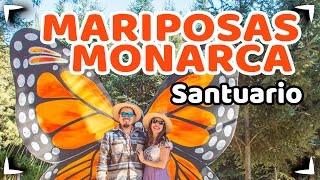 MARIPOSA MONARCA Santuario EL ROSARIO ► CONOCIMOS un lugar MAGICO 🔴 MICHOACAN ✅ Sin Postal 4K [upl. by Hill]