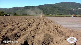 Vineyard Site Prep for Planting Stage One [upl. by Nnayt]