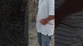 como buscar agua con rama radiestesia shortvideo fuentedeagua pozos shorts [upl. by Litta]