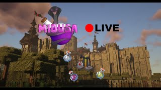 GEHEIME ALCHEMIE  The Kingdom Midusa Live [upl. by Ecnesse588]