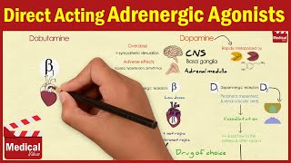 Pharmacology ANS 15 Direct Acting Adrenergic Agonists Dopamine Dobutamine Oxymetazoline [upl. by Tidwell322]