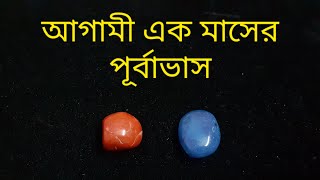 আগামী এক মাস কেমন কাটবেmonthlyenergycheckin monthlypredictions shortreading bengalitarot [upl. by Kilbride]