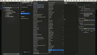 SwiftUI  Localization with button click [upl. by Bouldon]