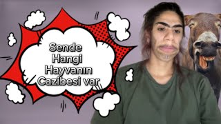 Sende hangi hayvanın cazibesi var  Onedio Test [upl. by Kurth]