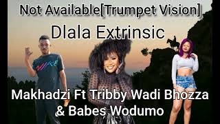 Not Available Trumpet Vision  DlalaExtrinsic × Makhadzi × Tribby × Babes Wodumo [upl. by Nagad]