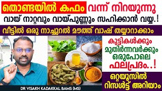 തൊണ്ടയിൽ കഫം വന്നു നിറയുന്നു വായ്നാറ്റം വായ് പുണ്ണ് മോണ രോഗം മാറാൻ ഒരു നാച്ചുറൽ മൗത്ത് വാഷ് [upl. by Eydnarb]