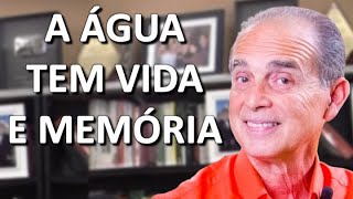 1063 A água tem vida e memória [upl. by Tongue]