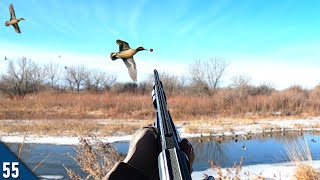 Duck Hunting a HEATED Channel  Late Season Duck and Goose Hunt [upl. by Ayekal187]