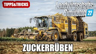 LS22 Zuckerrüben  Schritt für Schritt  TippsampTricks [upl. by Hamirak]