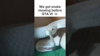 Snake Mewing 🤫🧏  Meme 🦍 [upl. by Luas767]